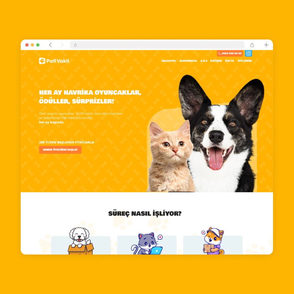 Pativakti Arayüz Tasarımı